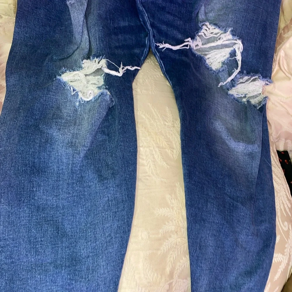 American Eagle plus size jeans_2